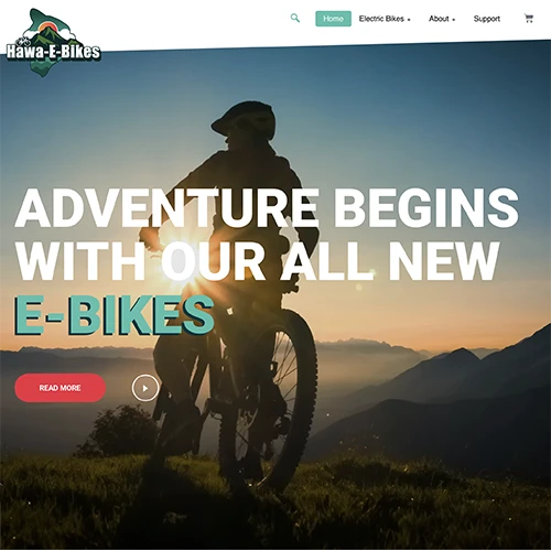 portfolio hawaebikes